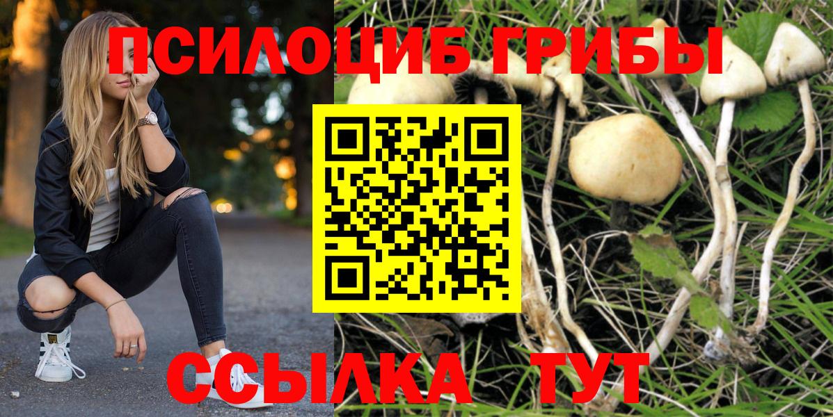 Псилоцибиновые грибы мицелий Канаш