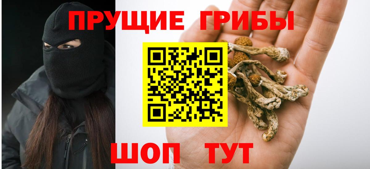 Канаш  Псилоцибиновые грибы MAGIC MUSHROOMS  Вход с VPN 